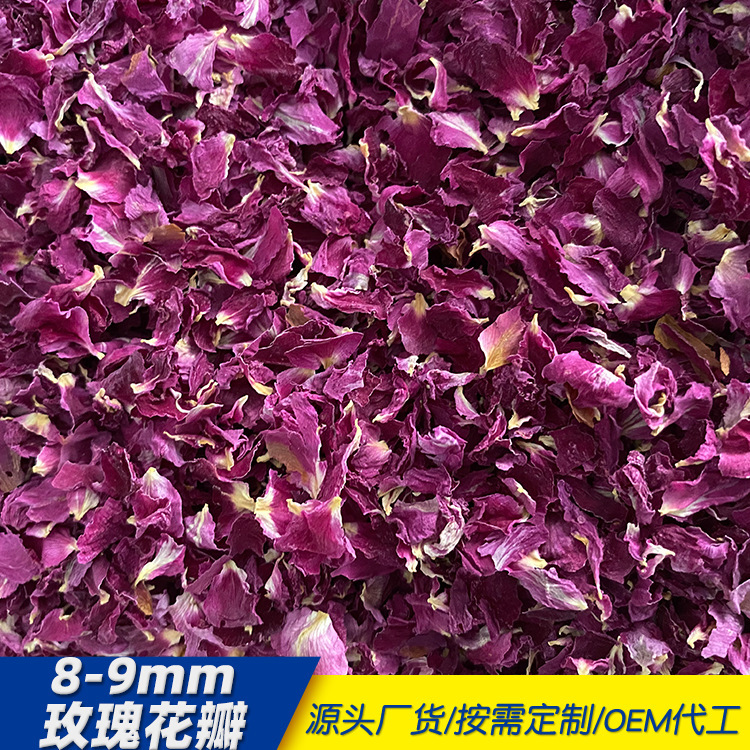 バラのバラの重弁の赤いバラの花びらはバラの花びらを食べます。|undefined