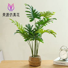 �ٻ������֦������ֲҶ�Ӵ��辰���ҷ������Դ������ڰڼ�����ѷ
