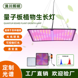 Full-Spectrum Led Plant Growth Light Quantum Board for Greenhouse Indoor Cultivation of Succulents, Flowers, and Vegetables with High Light Efficiency