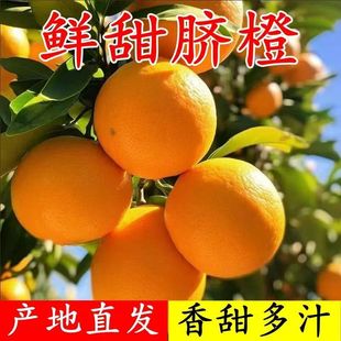 �Fժ�F�l�~�ɠ�Ě�Ȯ������r����ˮ���Fժ�ք����ե֭����Ě��