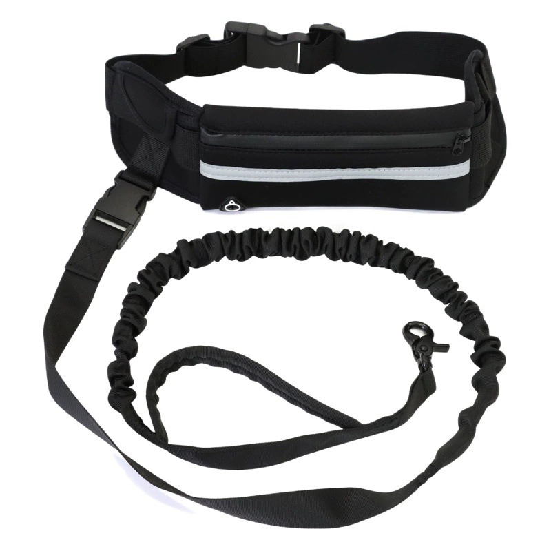 Спорт на открытом воздухе бег талии сумка костюм ПЭТ поводок собака поводок Прогулка собака поводок костюм