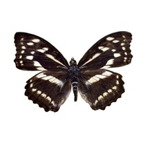 ����3ԭ���̾�չ��˱�չ���δ�����˱������δ�����µ������b