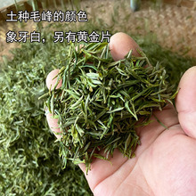 2023新茶黃山毛峰散裝批發明前濃香型安徽黃山綠茶葉土種毛尖春茶