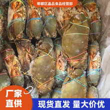 ��з�M�������з���^����ʾƵ���зڸ��r��Ʒ�|�����ɶ�