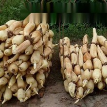 \ˮźNɏźNźˮźN ߮aʳɏźN źź1