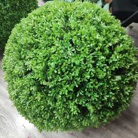 仿真黄杨梅草草球仿真塑料草球装饰仿真米兰草球黄杨草球井盖遮挡
