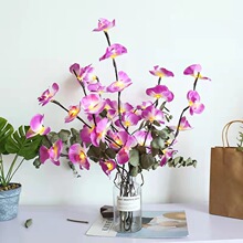�S��ֱ�N�����b����m���滨�����b�֦�l������c�廨�����ʟ�
