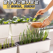 �L����խ�����̨�N�����L�l�߲˷Nֲ�����䴰̨��ݮ���ۑ�������