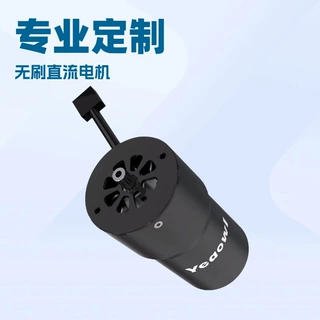 无刷防水IP68直流电机水下清淤机器人电动冲浪板水翼风帆定制马达