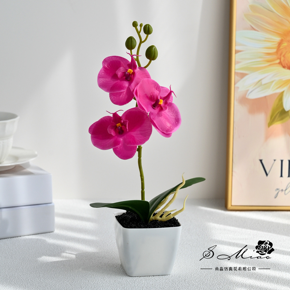 Orquídea de mariposa de tres flores, bonsai de moda, imitación de flores falsas, decoración del hogar, fotografía de flores artificiales, flores de boda, perilla image 5