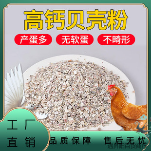 ؐ����ι�u�F�ø��}����u�������g�����}���a�}��ܛ�����ӱ���ɳ