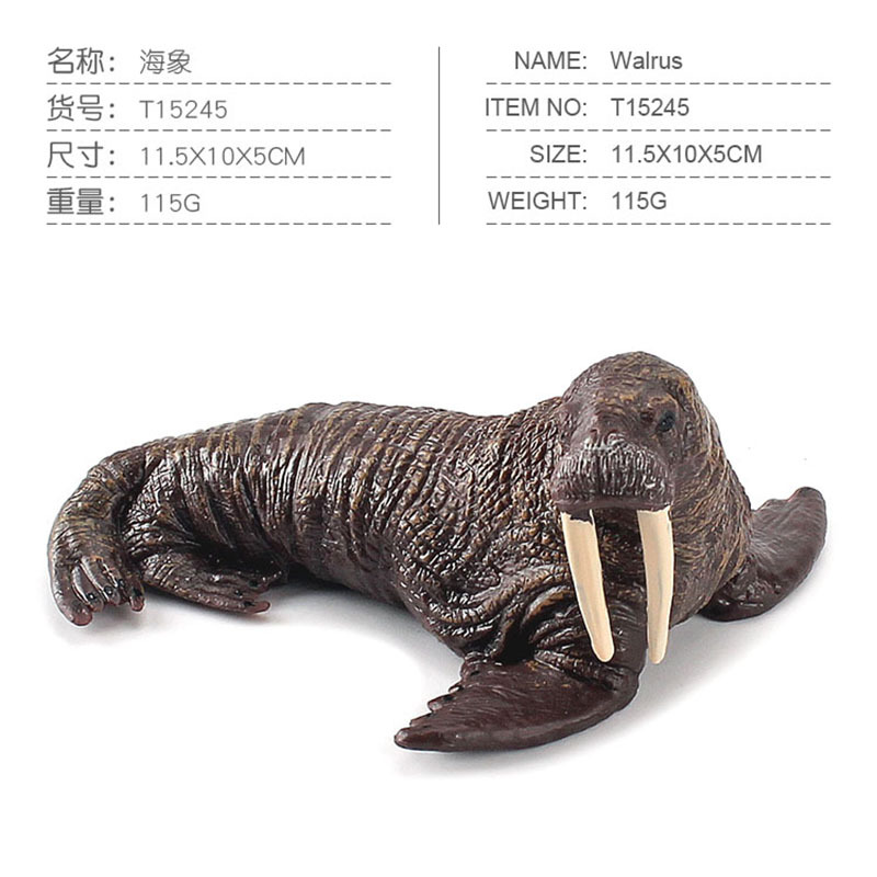 Exportación transfronteriza de la cognición de los niños Simulación de focas Leones marinos Animales Marinos Modelo de Ornamentación de escritorio