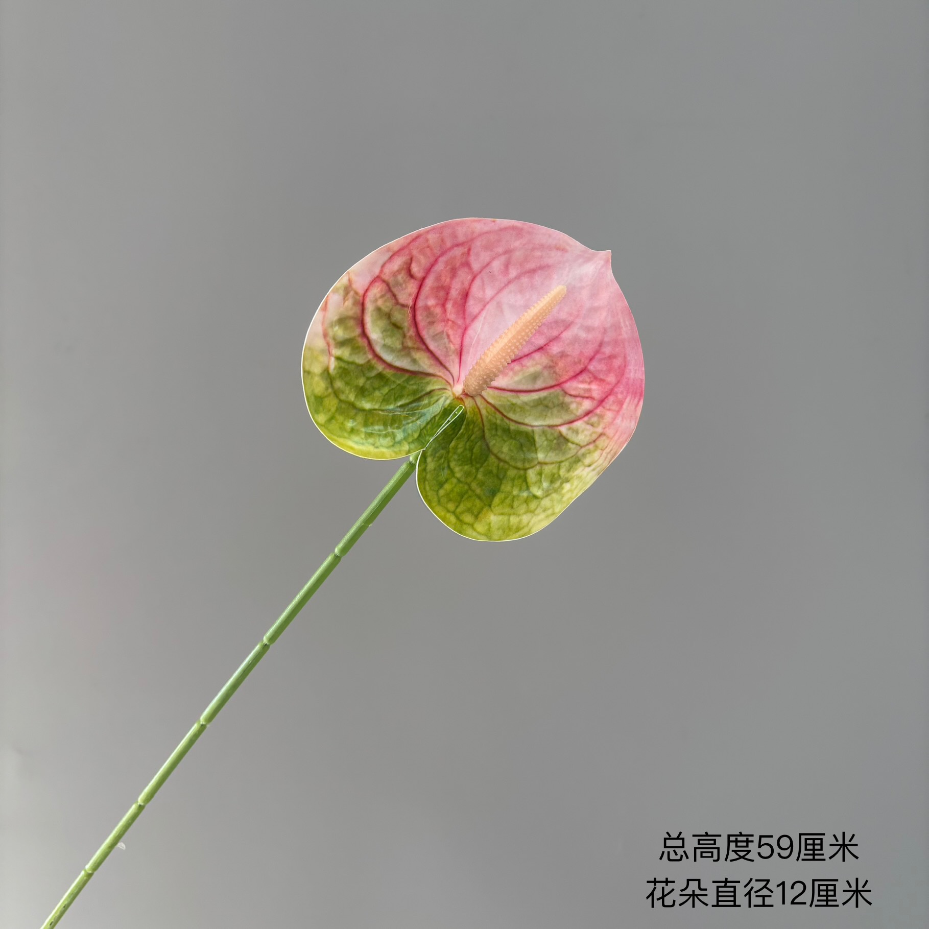 핑크 그린