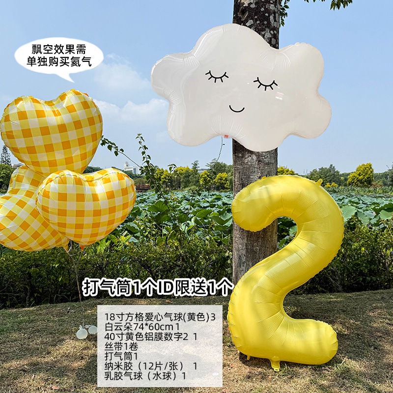 小红薯同款户外生日场景氛围布置装饰网纱背景挂布6周岁男孩拍照|undefined