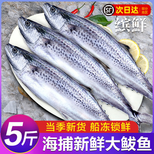 ���E�~���r���T�E�~�R�o�~�����l����໨�~�R���~���r�R���~���l