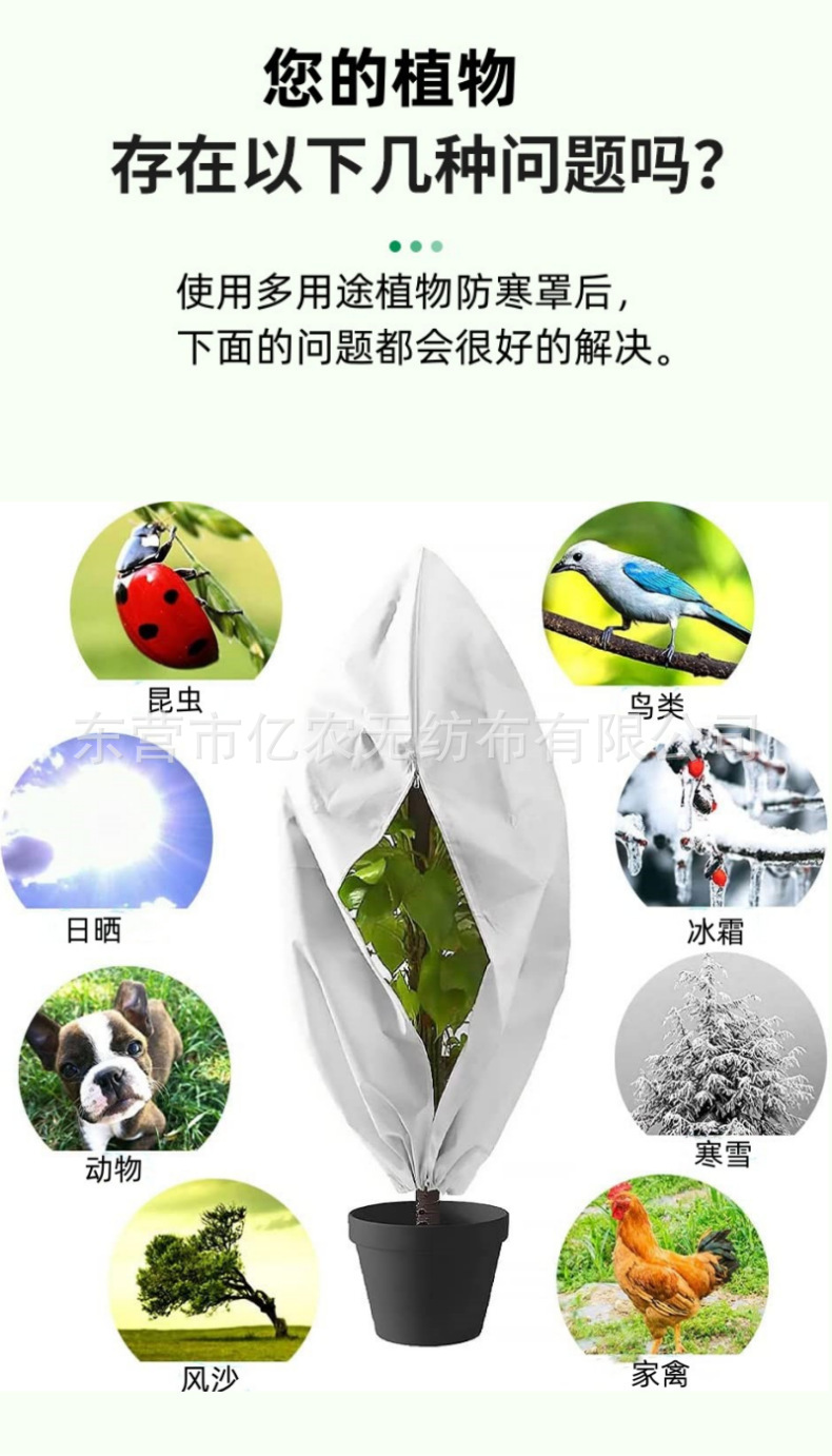 O1CN01veDC161bWgVgbpShZ_!!2924243473-0-cib.jpg?__r__=1721385549344