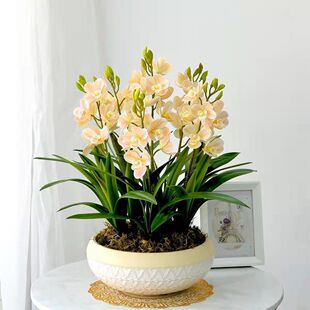 �������m�����҃����Ի���ī�m���m�����ļ��_��