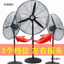 �L���I�L���ձ��M���L��ţ��������ȴ���ʼҵ����L����̫��