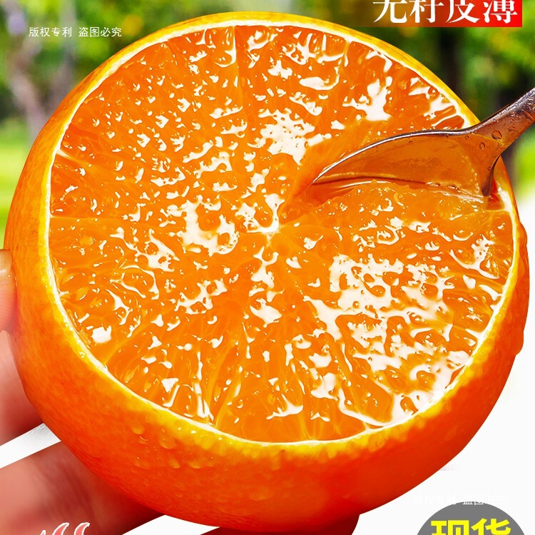 Ehime No. 38 Jelly Orange Fresh Seasonal Oranges Sichuan Tangerines Citrus Hand-Peeled Oranges Whole Box Free Shipping Ehime No. 38 Jelly Orange Fresh Seasonal Oranges Sichuan Tangerines Citrus Hand-Peeled Oranges Whole Box Free Shipping