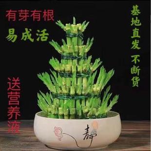 ���������[�������߸��F����ˮ��ˮ�B�Gֲ������ؔ�D�\�����k����