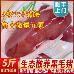 �r��ɢ�B���i���i�I���r�i�����i�������aʳ��1-5�����rֱ�l