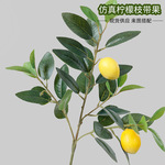 厂家批发仿真植物柠檬树绿植客厅北欧ins落地摆件桌面精品装饰物