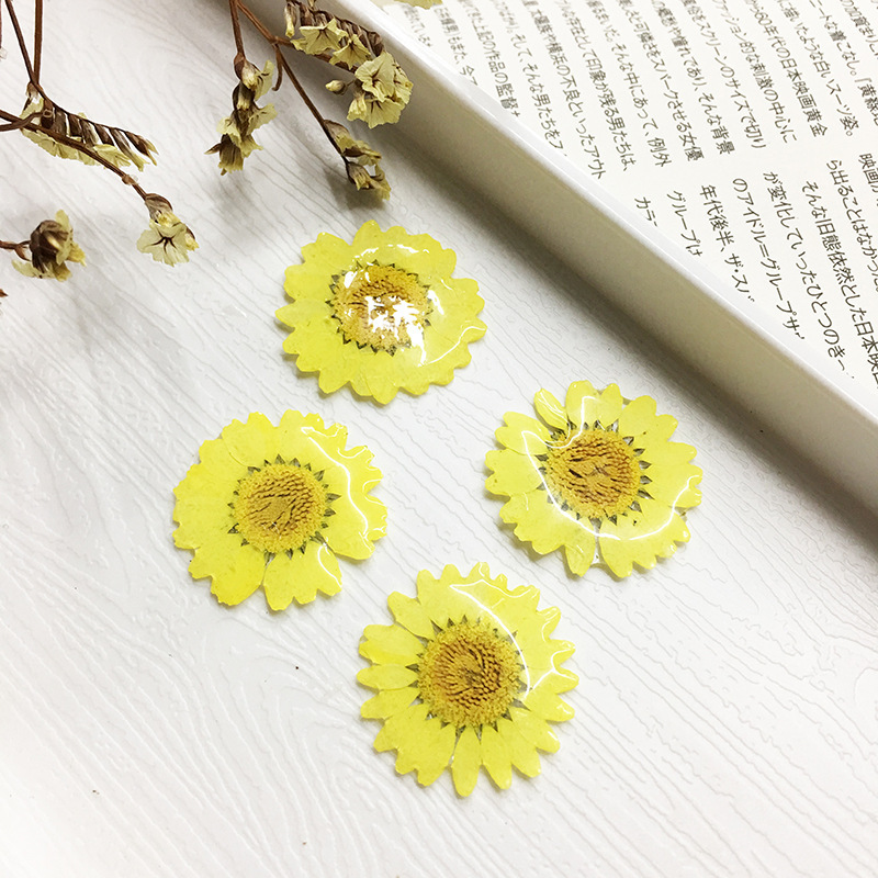 滴胶押花干花太阳花半成品DIY手作真花材料树脂耳环配饰品