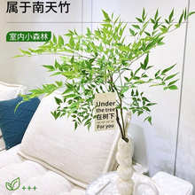 ˮGֲtˮB҃Ȼr֦RRľƽֲ