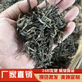 普洱生茶散茶 倚邦高山老树春茶散普 原产地直供批发云南普洱茶叶