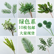 �Gɫ��ɭϵ�Gֲ�ٻ��~�ӻ�c�������~��ˇ�b��߼٘��~