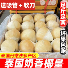 泰国进口小奶椰皇丹嫩沙多香水椰煲鸡汤老椰子孕妇新鲜水果包邮