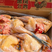 ɢ�B���_�u���P���u��ڹ��u���_�u���u 19��/�� ���u���l����