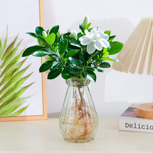 �d�ӻ�ˮ������ֲ���҃Ȼ����k������λˮ�B�_���Gֲ������������