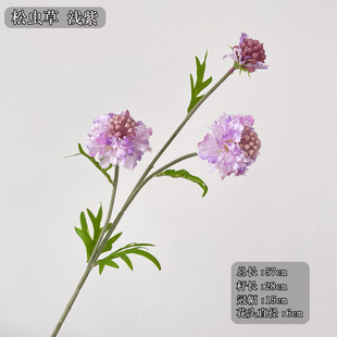 ���滨3�^���x�� С����ʽ��ˇ�����]���Ŀ羳ʸ܇��4���ɫ�ٻ�