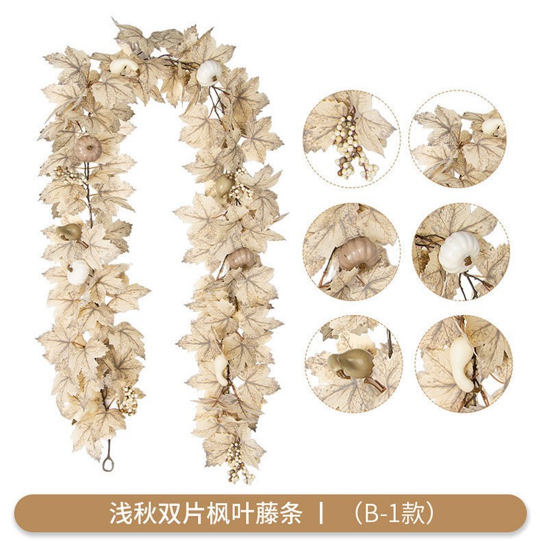 Qiuqiu B-1