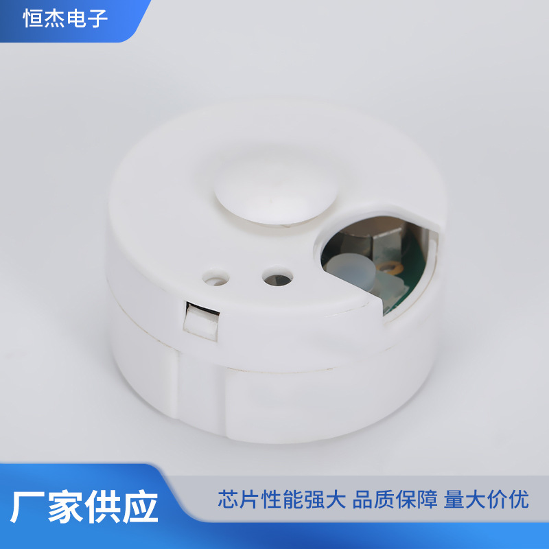 メーカー卸売おもちゃ発音ボックス録音ぬいぐるみスクイーズ音楽 20 秒 30 秒録音ボックス|undefined