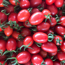 �}Ů������С���t�����r����С���ѷ�ǧ�������ЋDˮ���Ǻ��J����