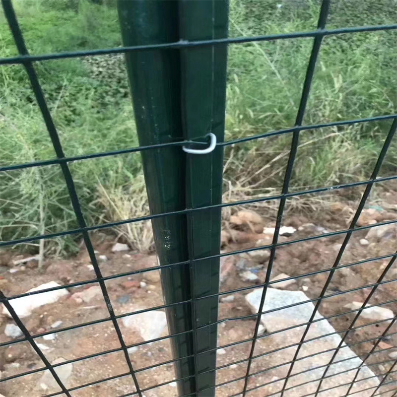 涂塑pvc荷兰网 涂塑电焊网 安装用燕尾柱 立柱带卡子配件钳子