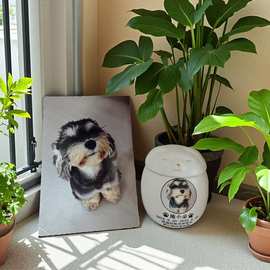 宠物骨灰盒猫狗纪念定 制去世纪念狗狗火化罐坛殡葬