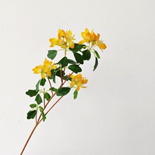 ��Ʒ�����S�ӻ����N���Ӱ巿�b����S�L�����@���ܔ[�O������ˇ