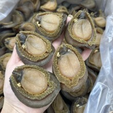 精选南非溏心干鲍海味干货13-15头足干金边吉品鲍醇香酒店酒楼用
