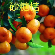 ɳ�ǽ۹������Ե����Ϸ������Nֲ�޽����Ә�VԪ�۽�����ɰ������