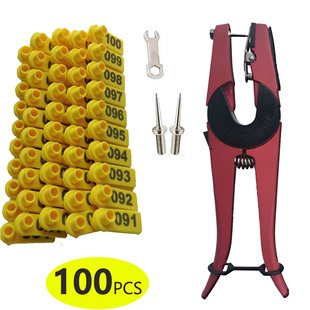 PE���ö������Q�ײ� �tɫ�����Q��ᘰ�����ĸ �t�S�{�G����ɫ���]