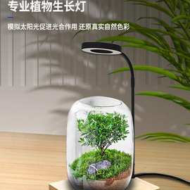 LED植物生长灯微景观灯竹板灯木板灯鱼缸灯苔藓灯多肉植物补光灯