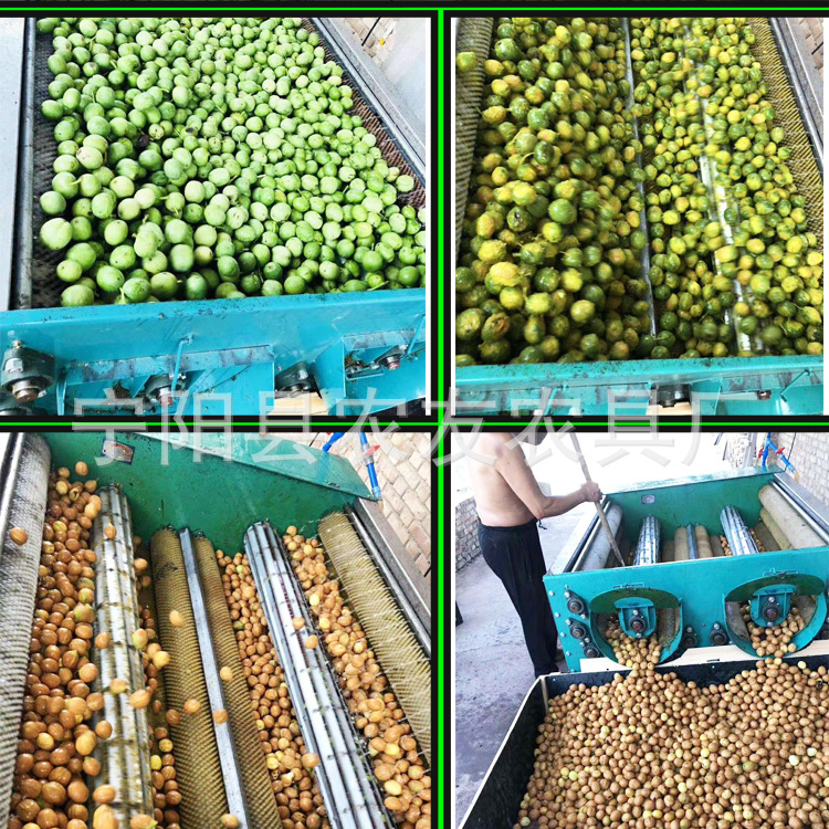 泰安岱岳区核桃去皮机1500型青核桃脱壳机薄皮核桃锯齿脱皮机