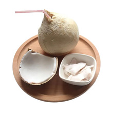 泰国椰皇水果当季椰子整箱顺丰包邮椰子水果椰皇一件代发