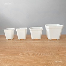 ���u�˽ǼӺ�С�׷����⻨���غ����Ϸ���ֲ���~���������ڷ���