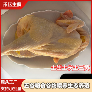 ���F���F�l����ɽɢ�B�����S�u���r�r��ɢ�B���u�Á��Ҝ����ж���
