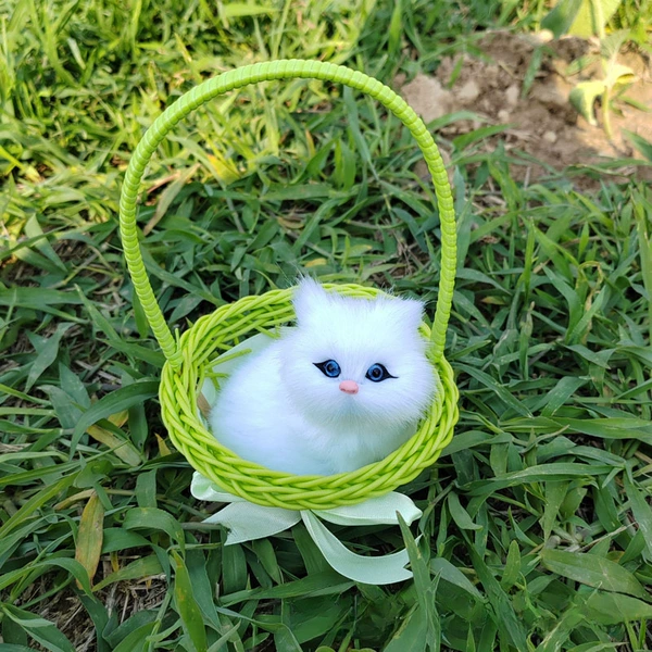 Not called green big basket pure white cat