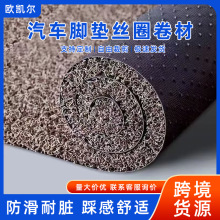 跨境定制丝圈PVC脚垫厂家热熔喷丝2CM加厚脚垫 汽车地胶通用脚垫